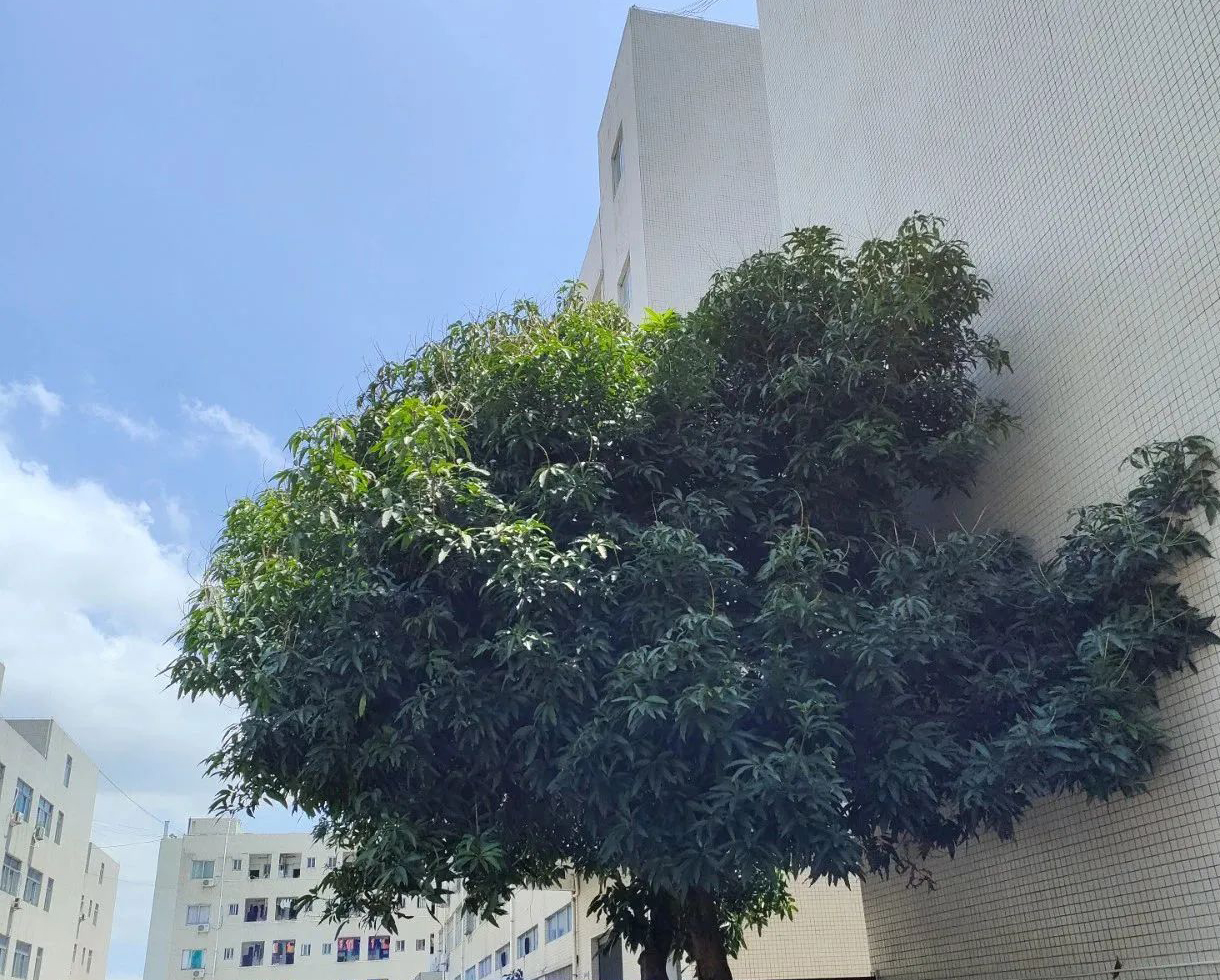 料坑建厂13周年3